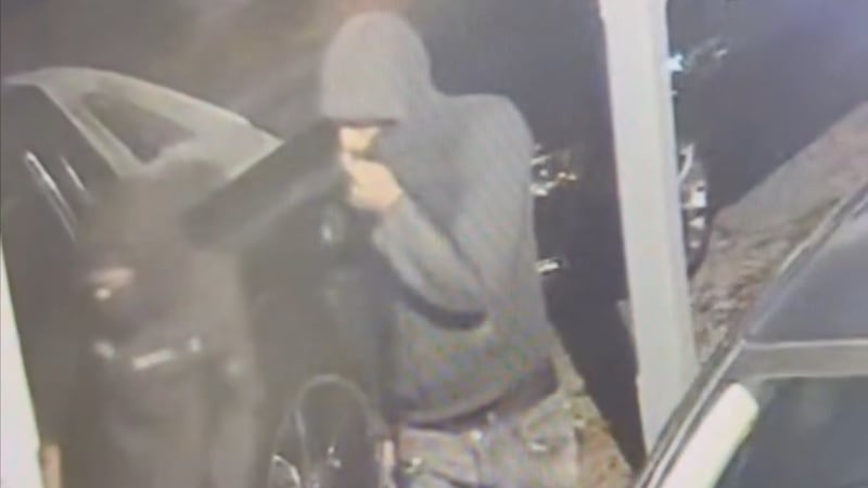 Verona police seek the public’s help in identifying auto burglars.