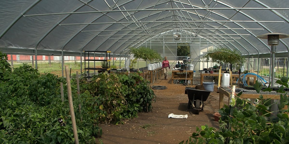 Grant provided to keep fresh food growing