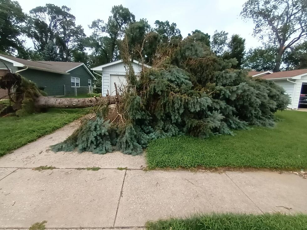 A downed tree in front of a house in Portage, Ind., on Tuesday, Aug. 18, 2026.