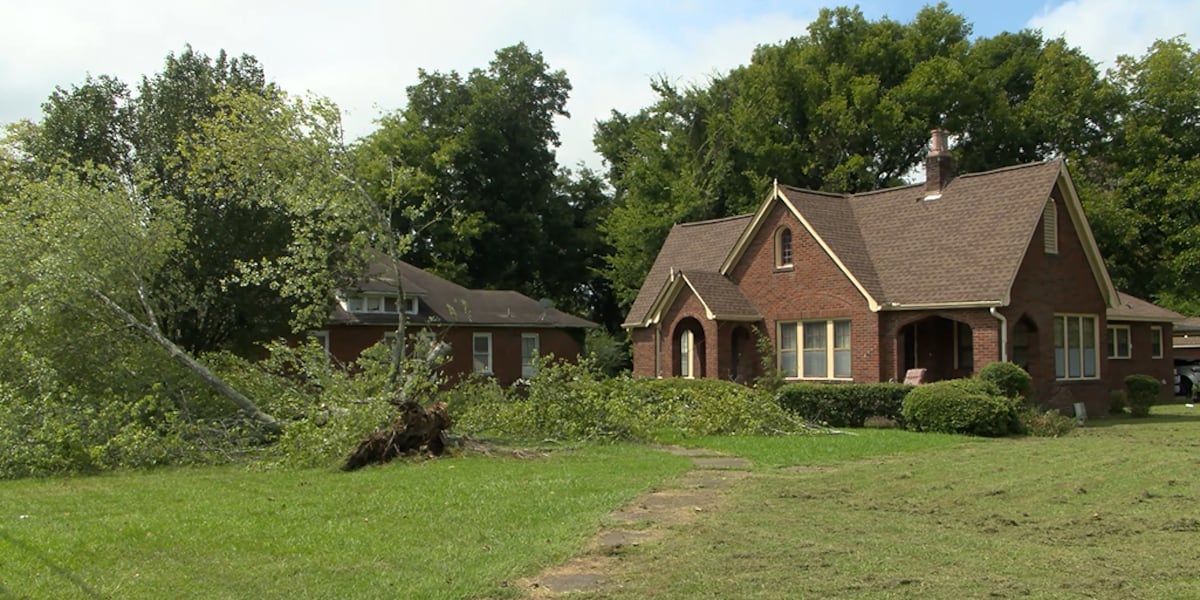 Cleanup continues after Wednesday's storm
