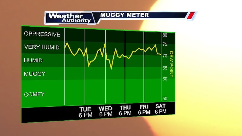 Hot and humid days ahead