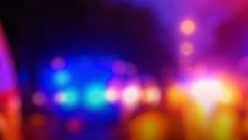 A 17-year-old boy in Massachusetts is accused of killing his mother and brother after using...