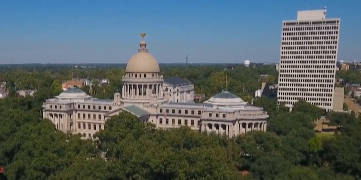 New laws in Mississippi take effect on July 1. Here's what you need to know
