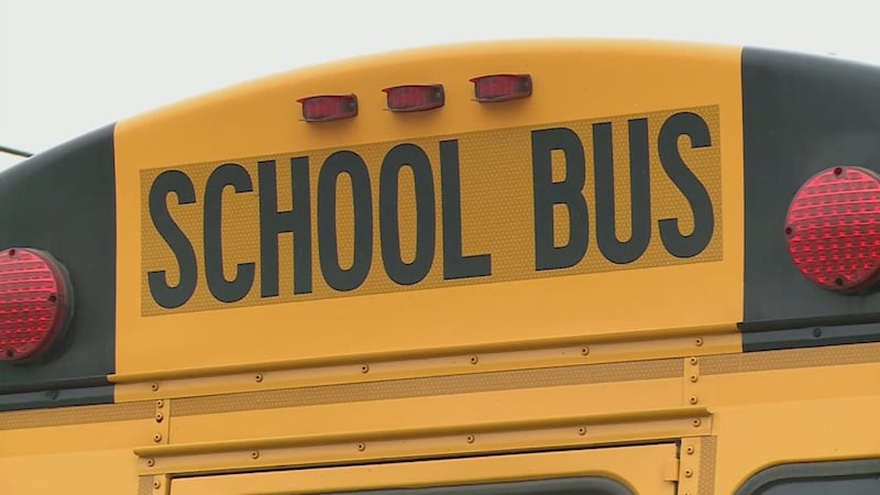School bus.