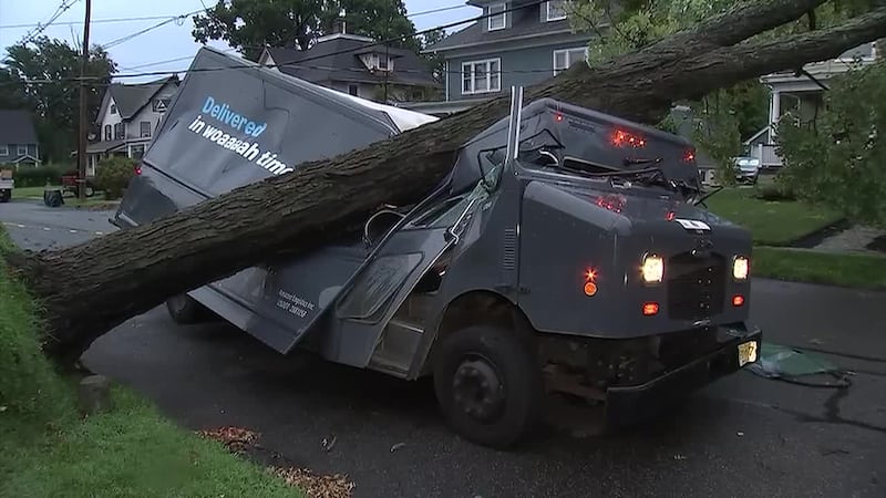 The fallen tree crushed the box truck with enough force that neighbors initially feared a...