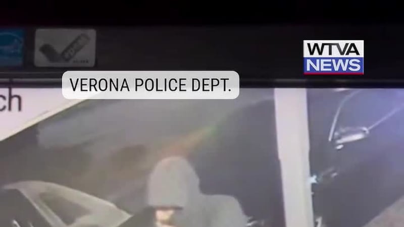 Verona police seek the public’s help in identifying auto burglars.