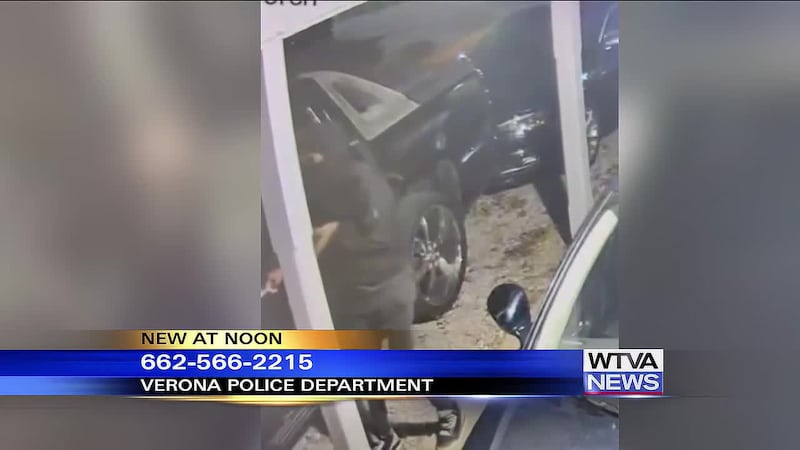 Verona police seek the public’s help in identifying auto burglars.