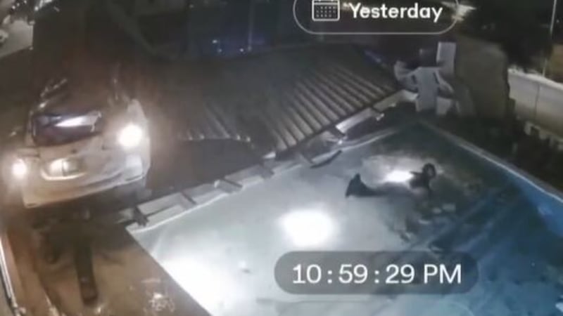 The woman caught on video crashing into a Laughlin pool faces a new charge for a fake or...